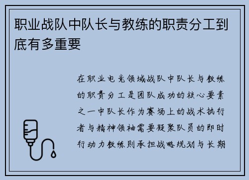 职业战队中队长与教练的职责分工到底有多重要