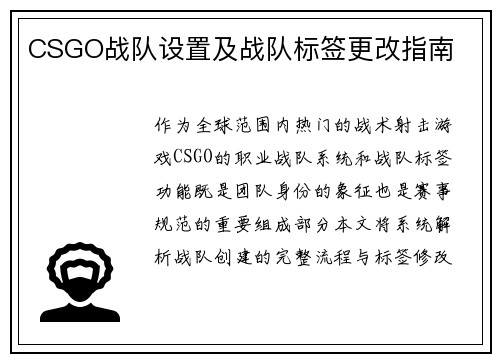 CSGO战队设置及战队标签更改指南
